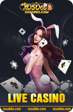 Live Casino